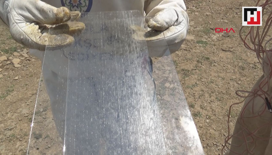 Arı zehrinin gramı 400 lira Arı zehrinin gramı 400 lira