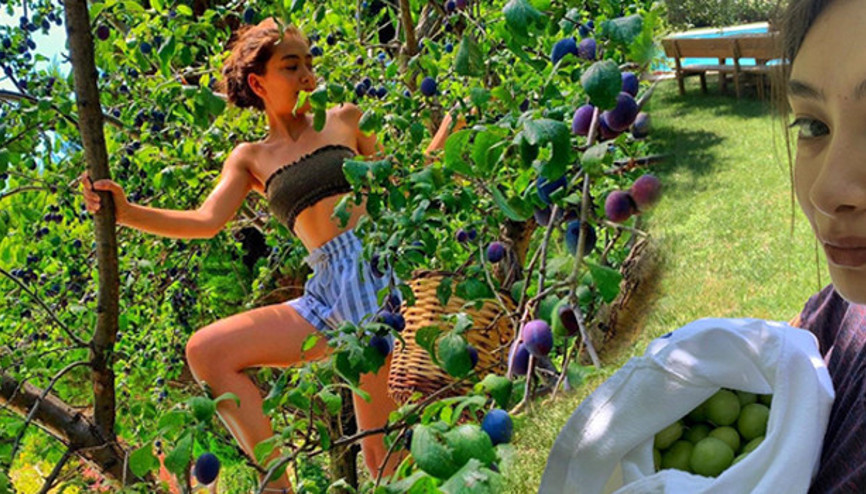 Konserveler Neslihandan