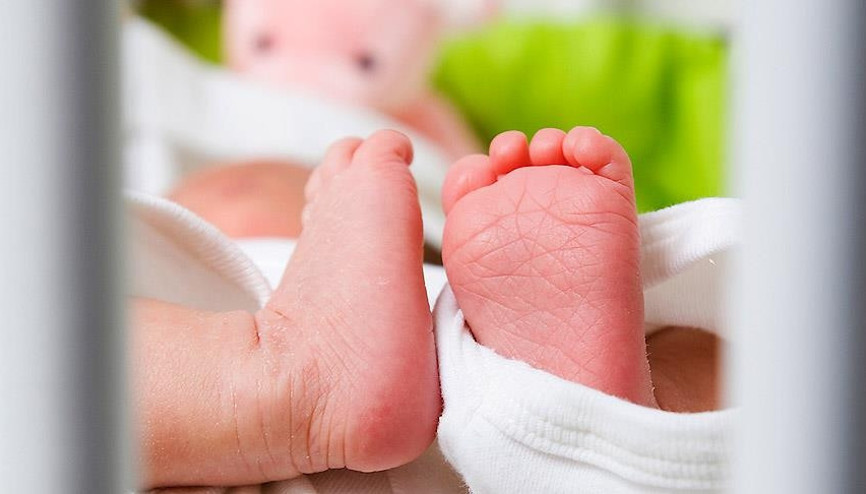 Taşıyıcı annelik nedir