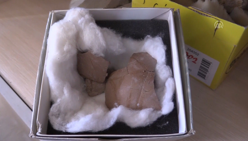 Çankırıda 8,5 milyon yıllık deve kuşu yumurtası bulundu