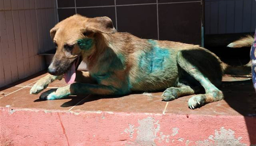 Kan donduran işkence... Vücuduna jiletle yazdılar