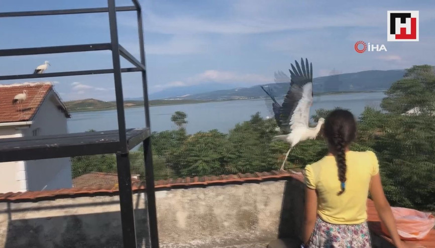 Beyzanurla leyleklerin dostluğu görenleri şaşırtıyor