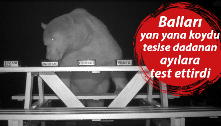 Yerlerini değiştirdim, her defasında...