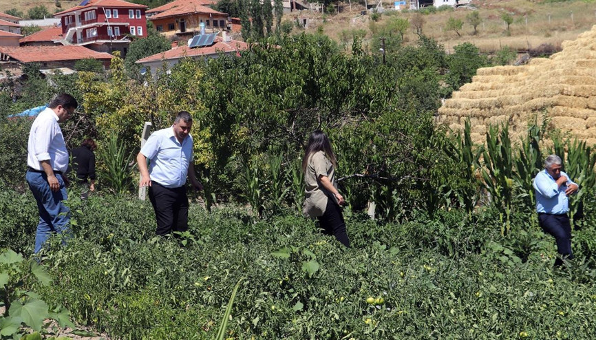 Bağlumlu üretecek belediye satacak