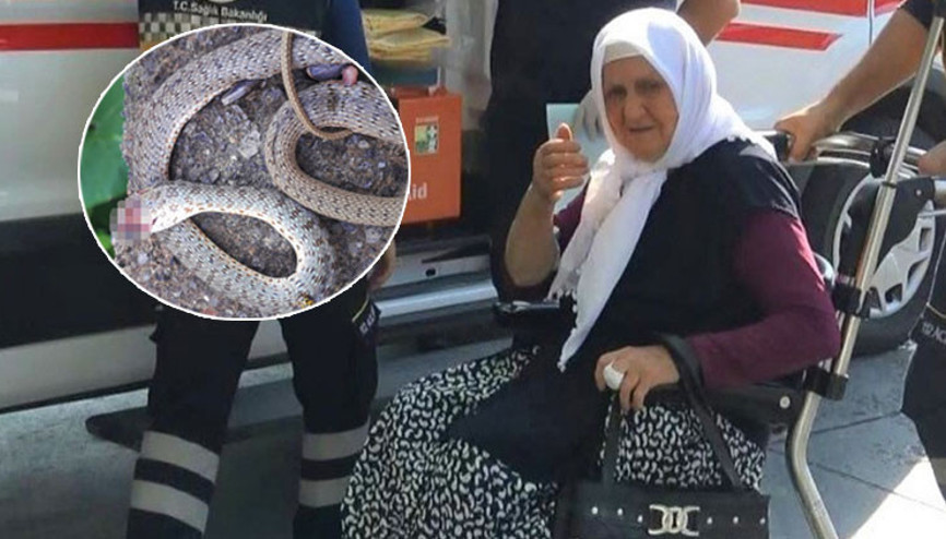 Çamaşır asarken dehşeti yaşadı Çığlıklarını duyan yakınları hemen koştu