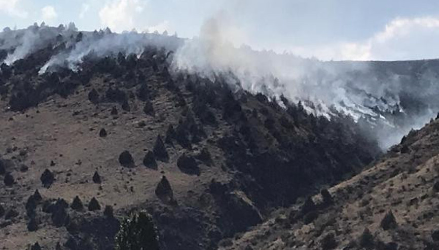 Sarıkamışta orman yangını Sarıkamışta orman yangını