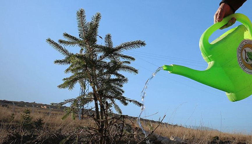 11 Kasımda 11 milyon fidan toprakla buluşacak