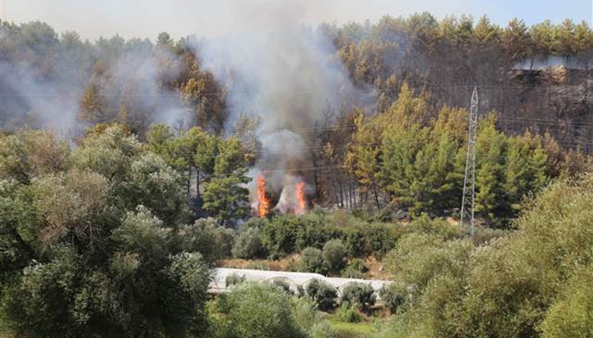 Son dakika... Perge Antik Kenti yakınında orman yangını