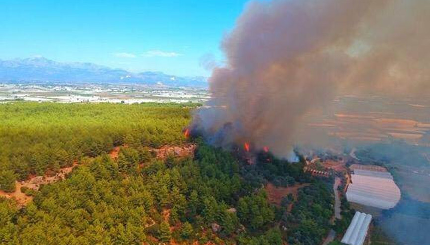 Perge Antik Kenti yakınında orman yangını