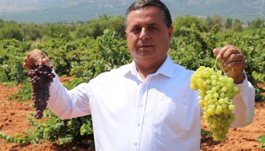 Türkiyenin şaraplık üzüm deposunda, fiyat artışı için güç birliği