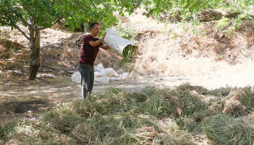 Bankacılığı bıraktı, köyüne döndü Babası konuşmadı ama başarıyı yakaladı