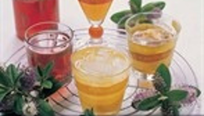 Enfes komposto tarifleri