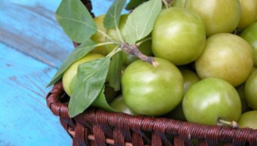 Hadi yeşil erik yiyelim