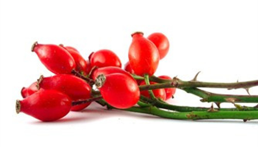 Kuşburnu ile gelen sağlık