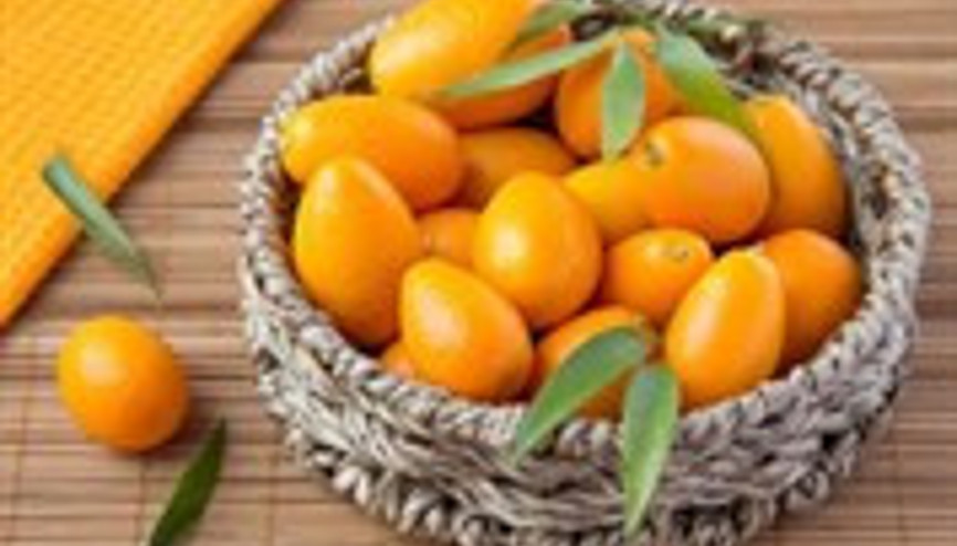 Şifa Kaynağı Kamkat Meyvesi