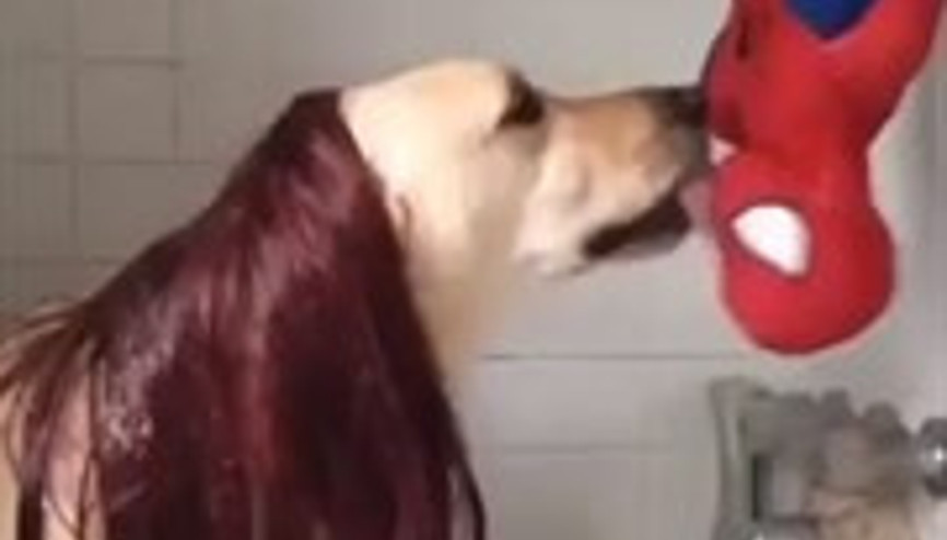 Filmlere Özenen Köpekten Romantik Öpüşme Sahnesi