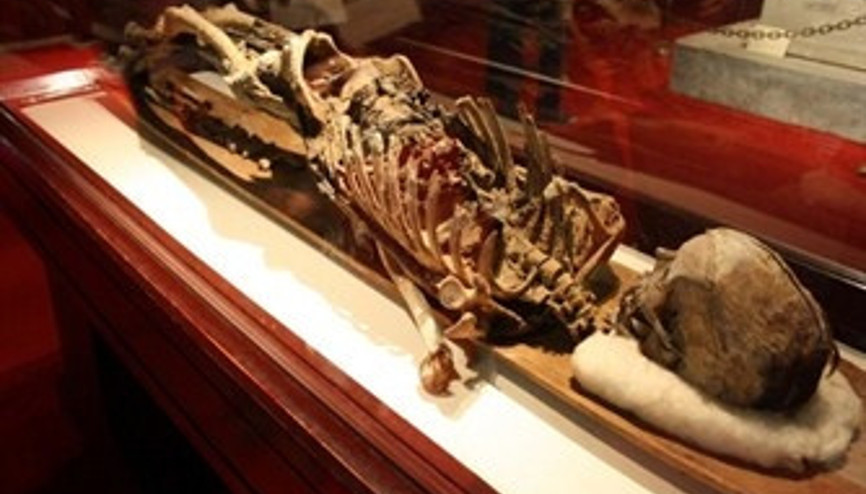 Görülmesi Gereken İstanbul Müzeleri