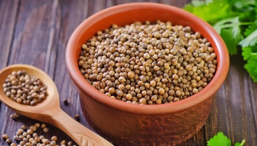 Yağından Tohumuna Kişnişin 7 Önemli Faydası