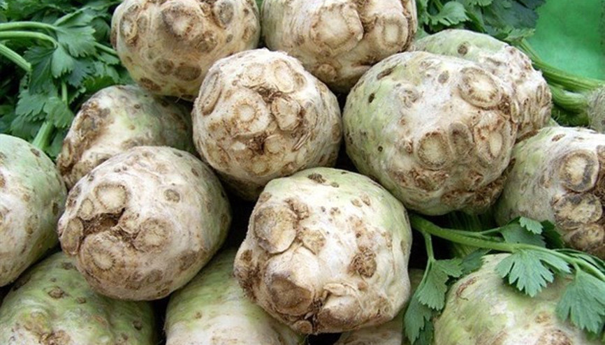 Kereviz Tohumu Çayı Neye İyi Gelir Nasıl Hazırlanır