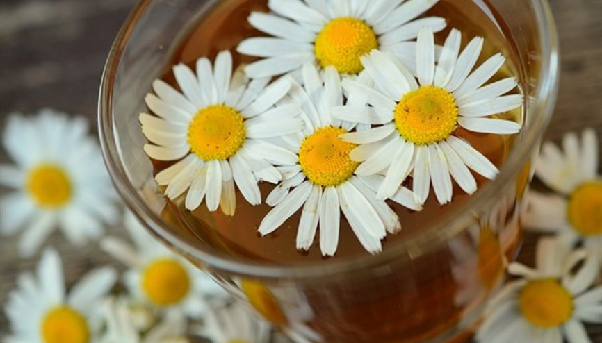 Papatya Çayının Faydaları