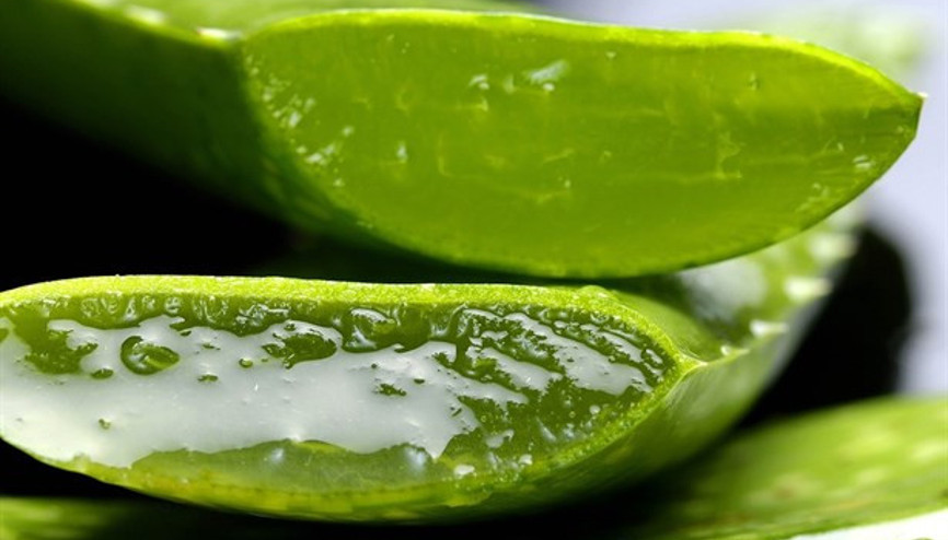 Kuru Ciltler İçin Aloe Vera Maskesi