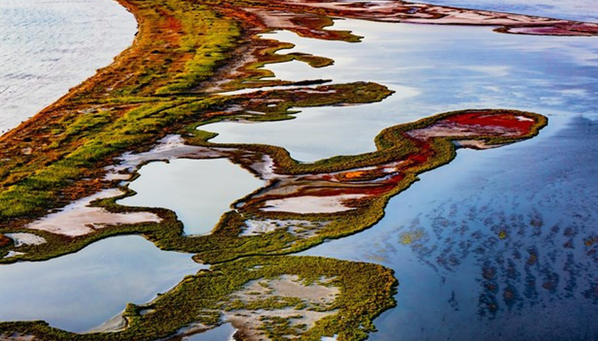 Sanatseverler Artweeks @Akaretlerde Buluşuyor