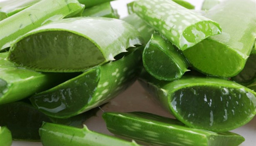 Aloe Verayla Cilt Bakımı Nasıl Yapılır