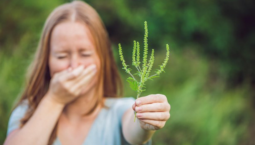 En İlginç 10 Alerji Çeşidi