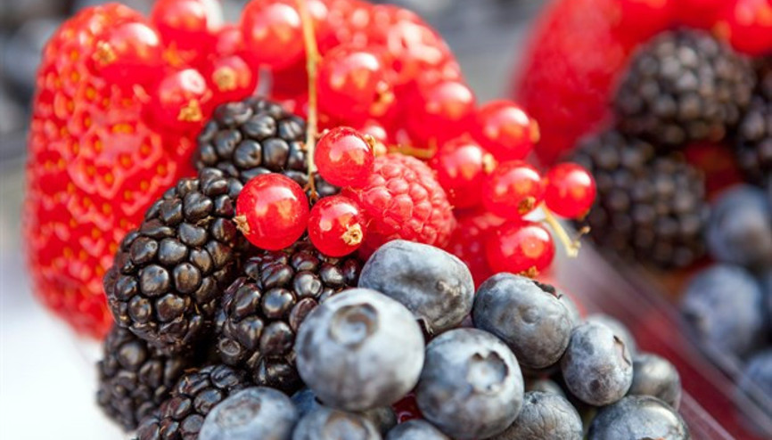 Kanser Riskini Azaltan Yiyecekler Kanser Riskini Azaltan Yiyecekler