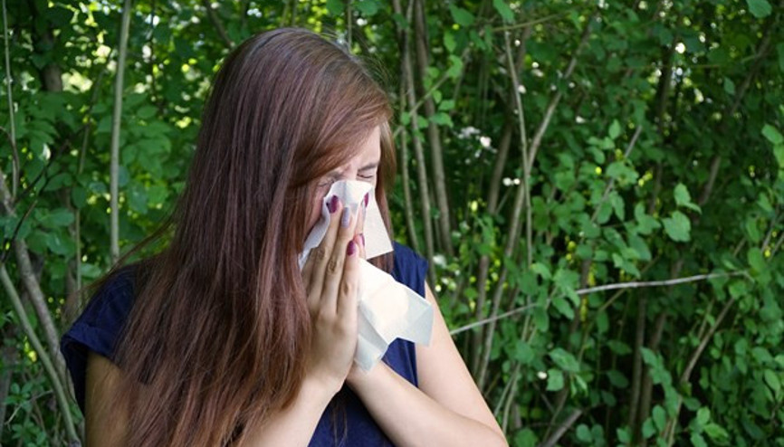 Yaz Gribinden Korunma Yolları