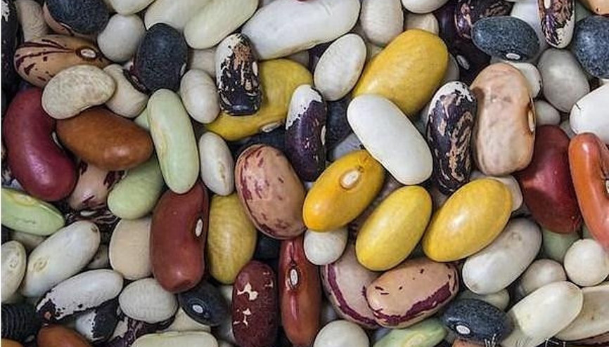 Hastalıklardan Korunmanın 25 Doğal Yolu