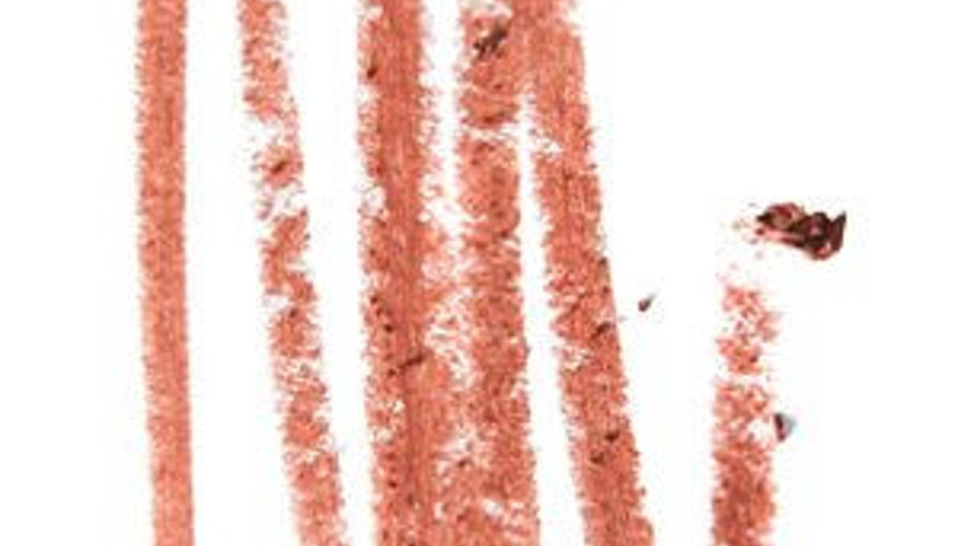 Son zamanların en çok satan dudak kalemi