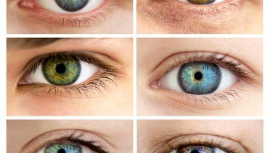 Duyu Organlarına Göre Karakter Analizi