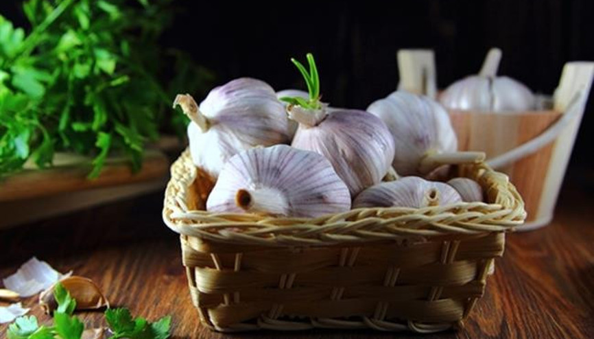 Filizlenmiş Sarımsağı Çöpe Atmayın