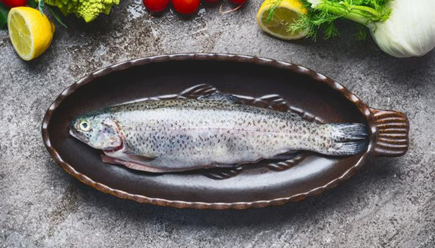 Hangi Balık Hangi Ay Yenmeli