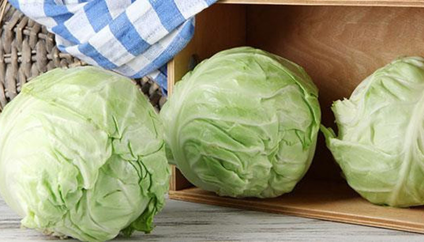 Beyaz Lahana Zayıflamaya Yardım Ediyor