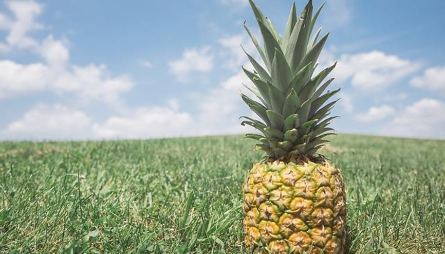 Vücutta Yağ Birikmesini Önleyen Yiyecek: Ananas