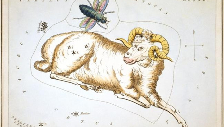 Burçların Kimlik Belgeleri