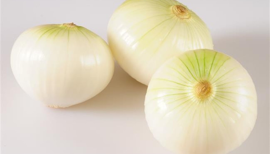 Antibiyotik Etkisi Yaratan 5 Besin