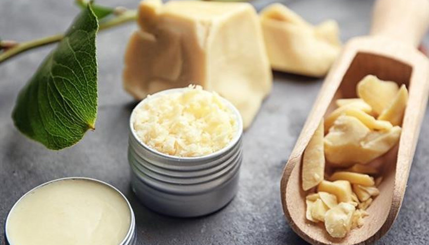 Ebegümecigillerin Mucizelerinden: Kakao Yağı