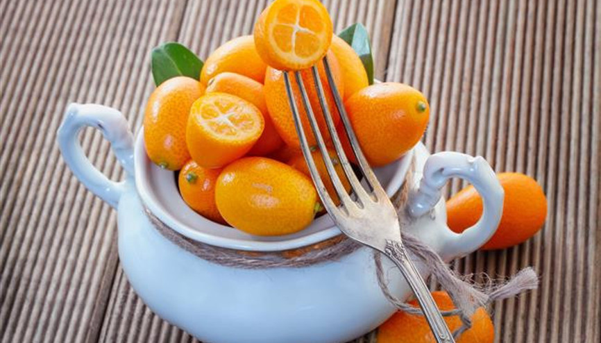 Turunçgillerin En Miniği: Kamkat