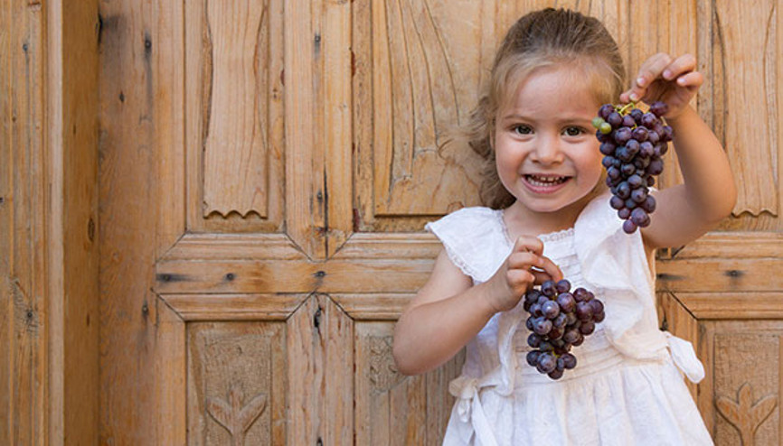 YÖRESEL KALKINMAYA İBRADI MODELİ