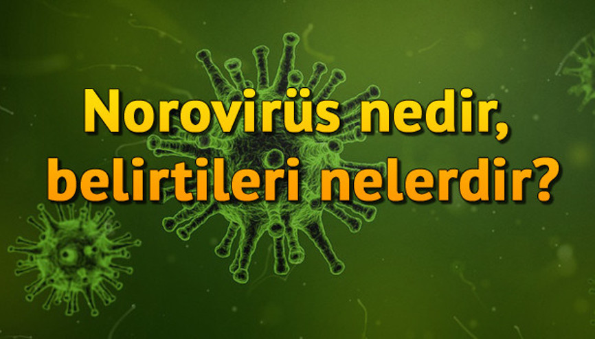 Norovirüs nedir, belirtileri nelerdir Norovirüs nedir, belirtileri nelerdir