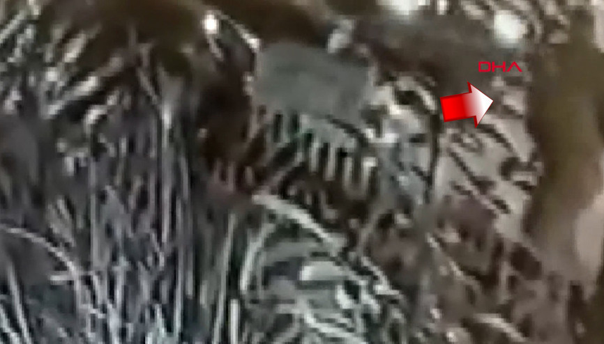 Hamile oyuncu ile ve annesine darp kamerada