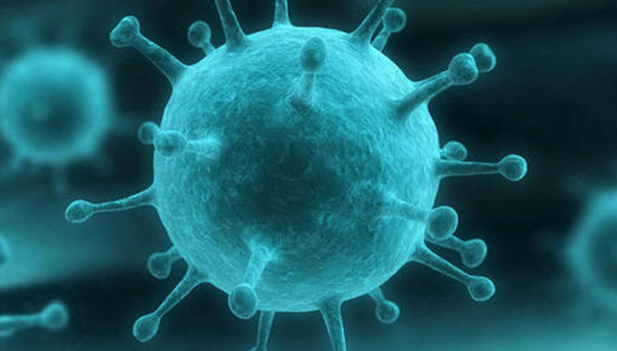 Tüberküloz (Verem) Hastalığı Nedir