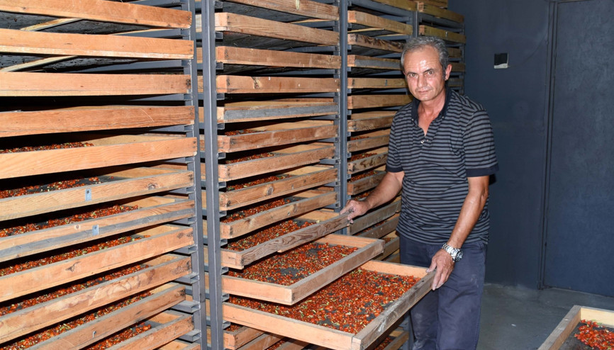 Mutluluk meyvesine talep yağıyor... Aksaraydan Avrupa ülkelerine yetiştiremiyorlar