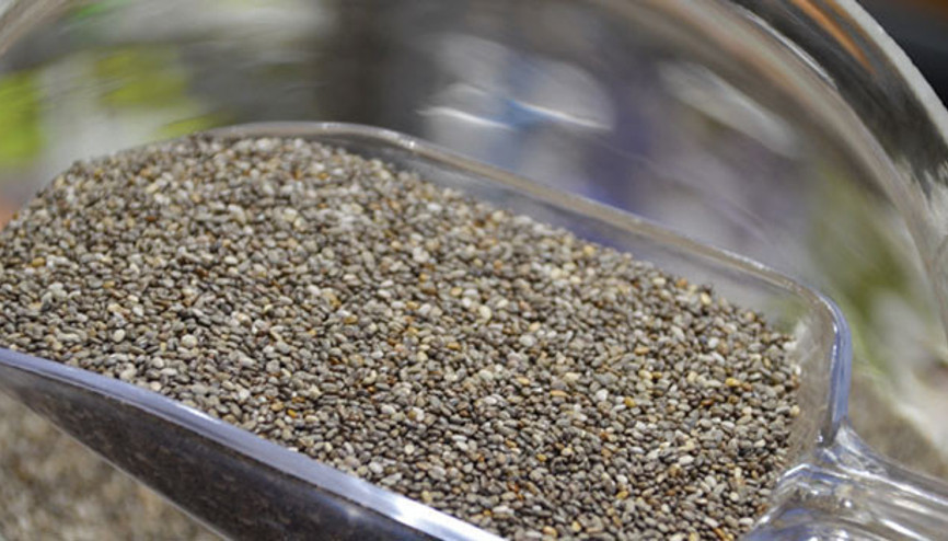 Chia tohumu nedir, faydaları neler