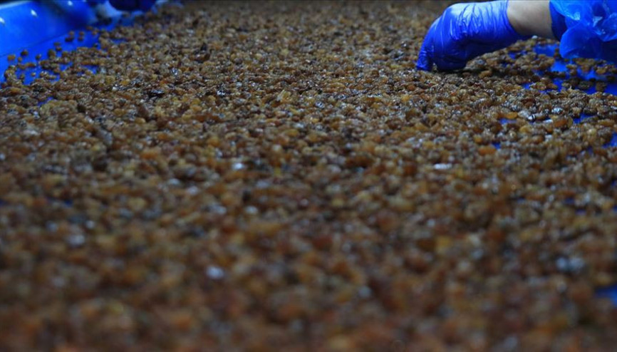 TMOdan kuru üzüm açıklaması