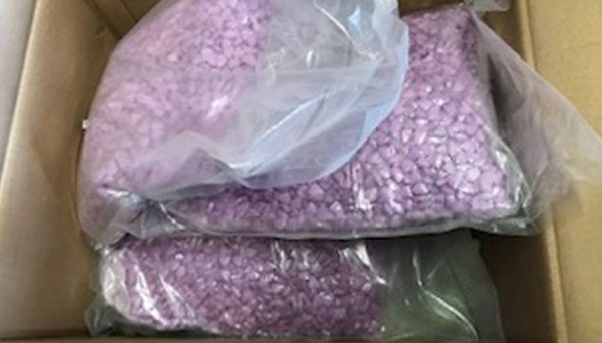 İskoçya’ya gidecek 500 bin Euro’luk ekstazi yanlışlıkla Avusturyalı çifte gitti