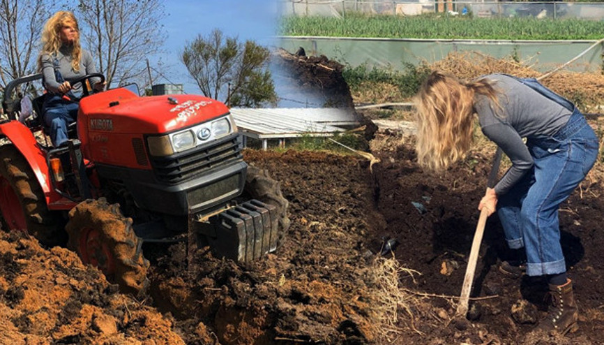 Şilede organik tarım Ünlü ismi hiç böyle görmediniz
